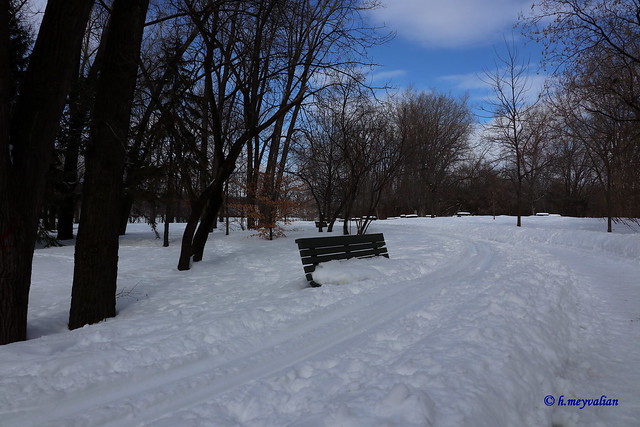 Quando mi  recai al parco, trovai la panchina occupata…