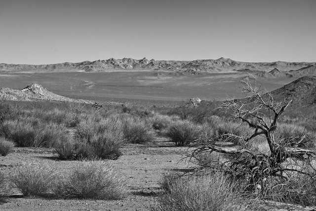 Mojave Desert Vista with Train 7873 A