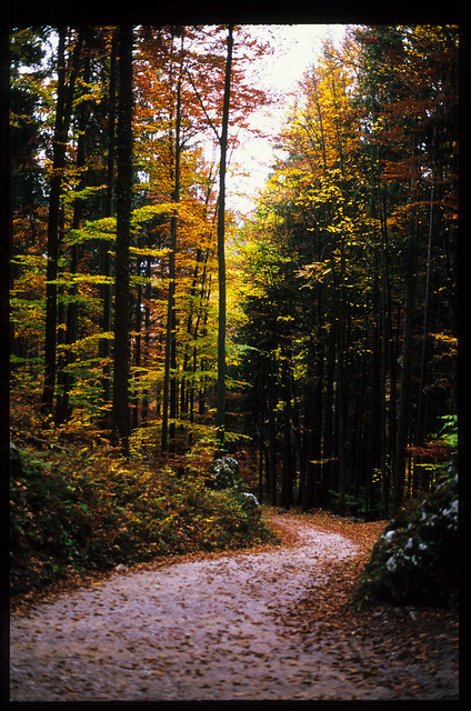 Bärenschutzklamm