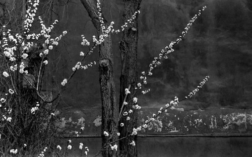 Untitled | by jon caradies