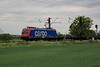 482 039-5 [ab] SBB Cargo zwischen Ladenburg und M-Friedrichsfeld