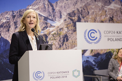COP24 (photo credit - Annabelle Avril, WECF) (58) | by wecf_int