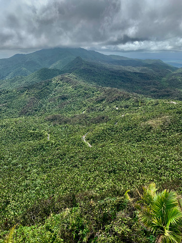 elyunquenationalrainforest puertorico vacation