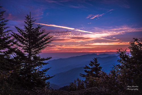 great smoky mountains national park gsmnp myrtle point mount leconte cades cove landscape frame full fx outdoor f28 24mm d750 nikon copyright black blue green tree lightroom diffused light shade natural depth field pictures spring summer autumn fall winter 2018 flower grass escape fairytale wonderland forest photographer golden hour travel sun prime river rock boulder covered moss pioneers settlers