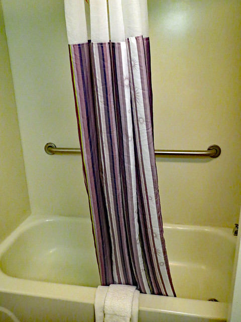 Shower Curtain And Bath Tub.