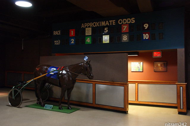 Approximate Odds Horsey