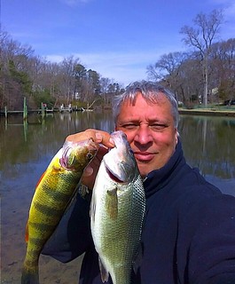 Photo of Man holding a yellow and a white perch