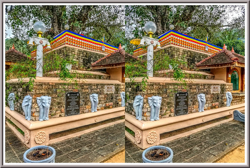 kandy srilanka 3d stereoscopy stereophotography