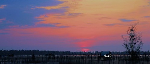morning early sunrise landscape seascape travel vietnam resort