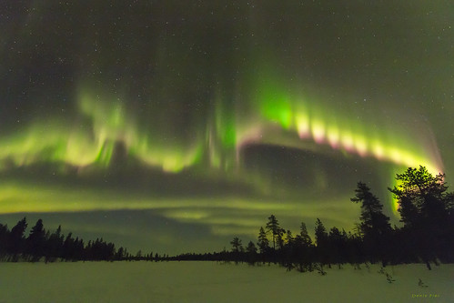 aurores boréales finlande lapland northern lights night nuit