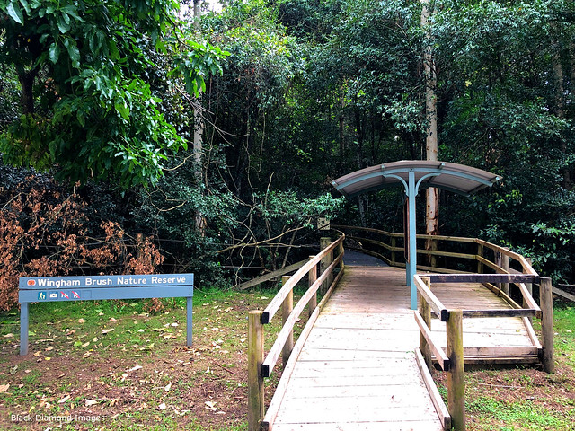 Entrance to Wingham Brush Nature Reserve, Wingham, NSW