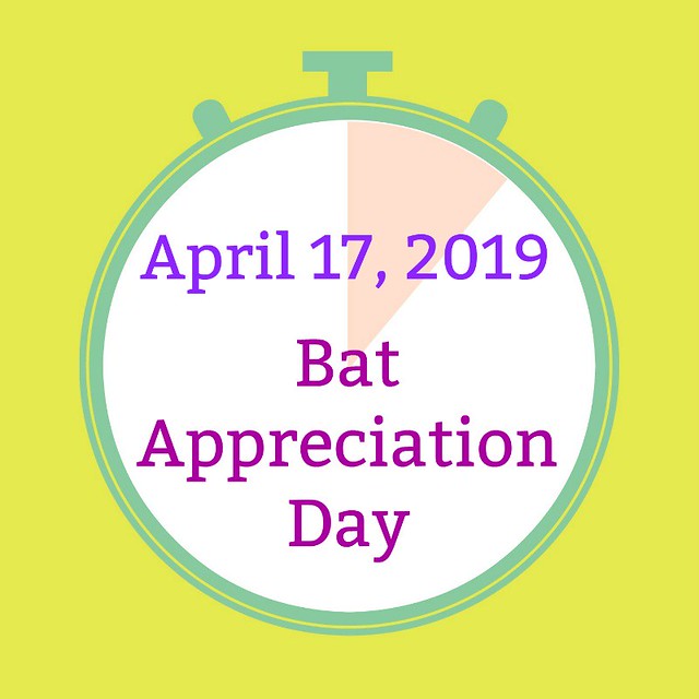 April 17, 2019 Bat Appreciation Day on the SIMPLE moms