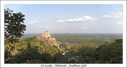 aradhanagala ceylan img2006 minhintale srilanka arbre forest forêt landscape paysage tree mihintale anurâdhapura lk