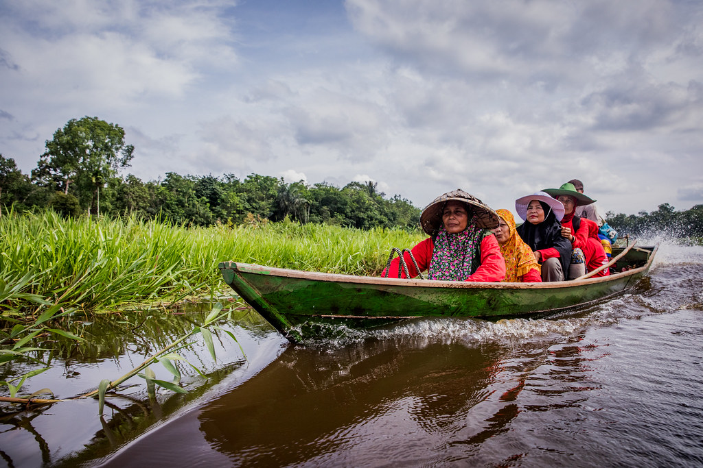 The women from Perigi Village, Pangkalan Lampam Sub-District, Ogan Komering Ilir District, followed the canal to harvest Purun plants.