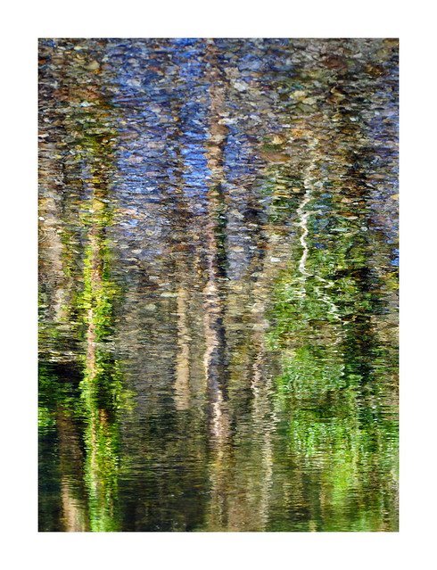 RESPRYN WOODS I RIVER BED REFLECTIONS