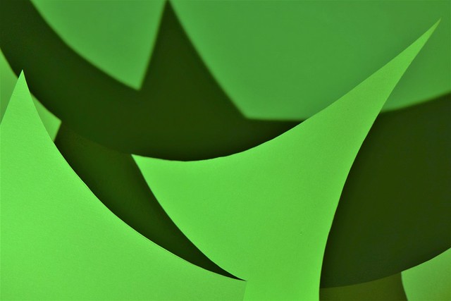 Abstractus in green