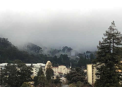 Mist Over Berkeley’s Hills