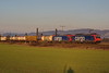 482 021-3 [ab] u. 484 010-4 SBB Cargo zwischen Ladenburg und M-Friedrichsfeld