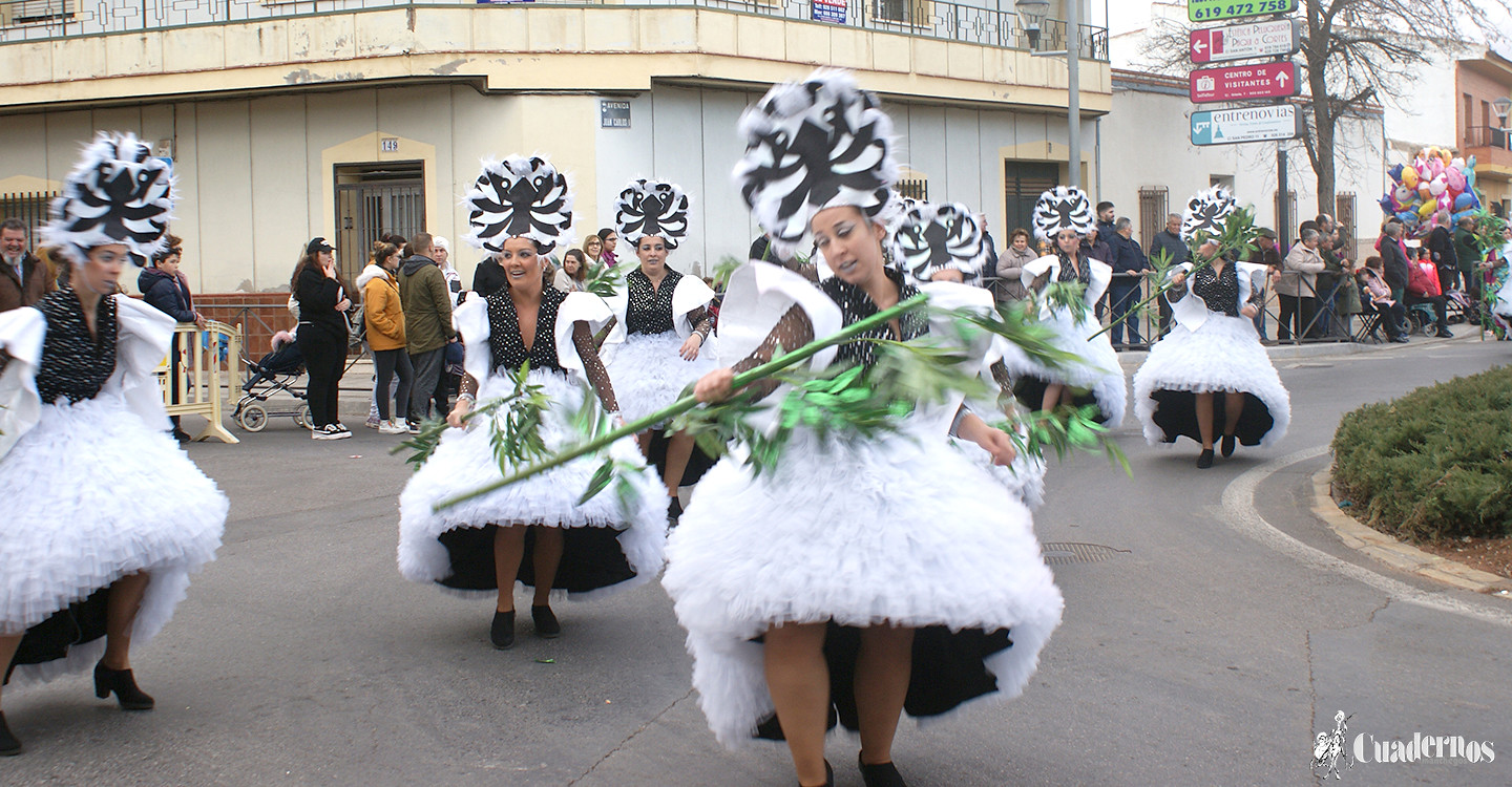 carnaval-tomelloso-desfile-locales-2019 (126)