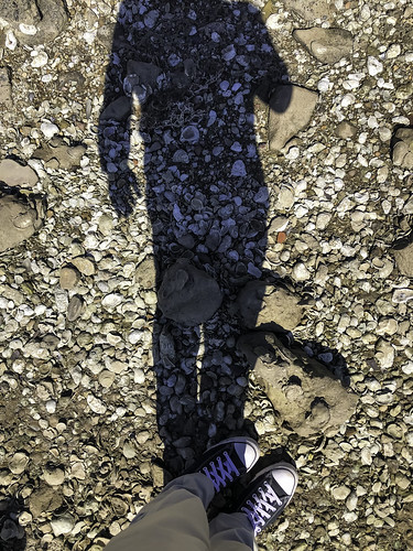 palacios texas usa coast coastal image iphone photo photograph selfie shadow shoes f18 mabrycampbell january 2019 january212019 img9876 399mm ¹⁄₂₀₀₀sec 20 iphone8backcamera399mmf18