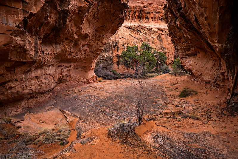 Canyon Exploring