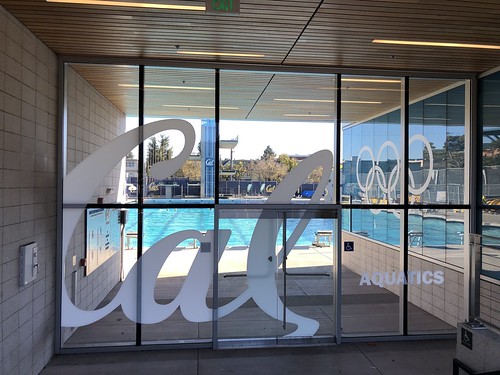 Swim at Cal