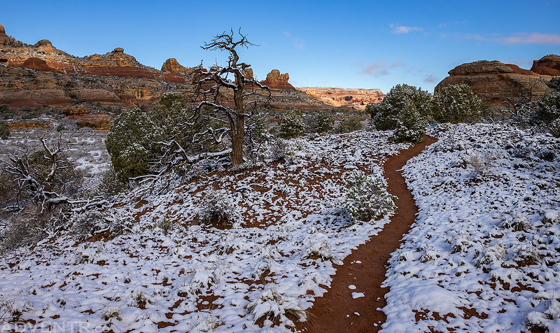 Snow In The Canyon