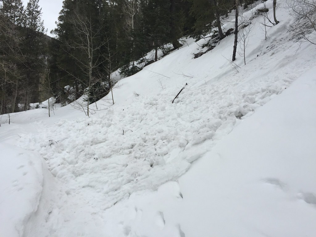 Granny's Trail