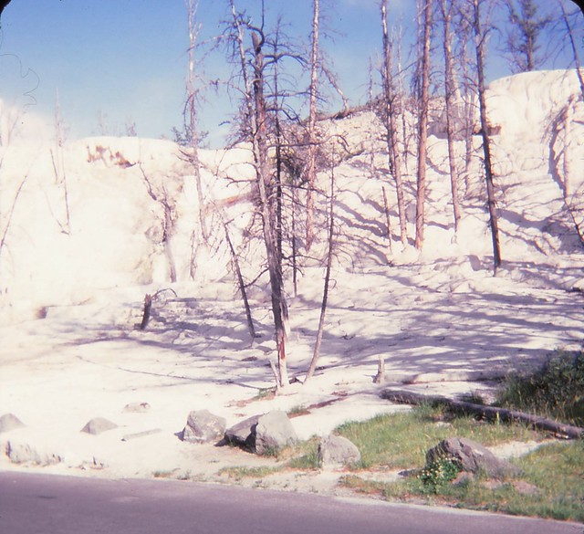 Yellowstone National Park - August 1980.