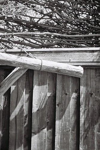 Fence | by bigalid