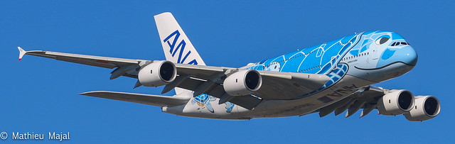 Airbus A380-800 / All Nippon Airways