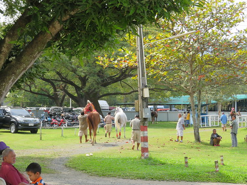 チェンマイ競馬場のレース後の馬