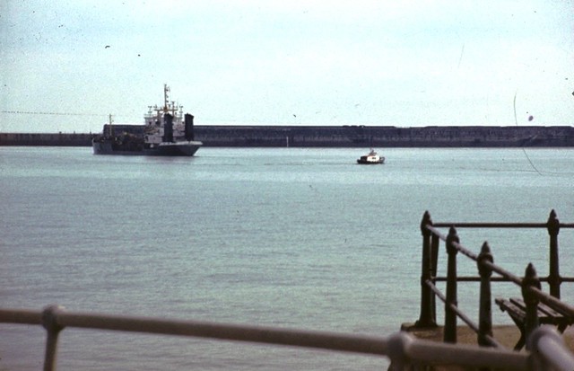 Dover 1981