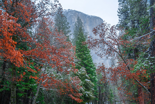 Yosemite Fine Art Winter Photography Nikon D850 AF-S NIKKOR 28-300mm f/3.5-5.6G ED VR El Capitan Winter Snow Fine Art! Nikon D850 Yosemite National Park Winter Snow California Landscape Photography! High Res 4k 8K! Elliot McGucken Fine Art Winter Photos!