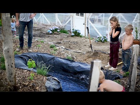 Building A Small Garden Pond (and knowing when to call in HELP!)