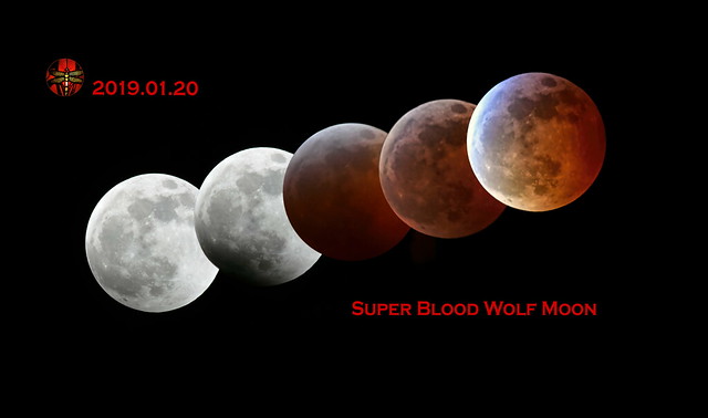 super blood wolf moon . . .