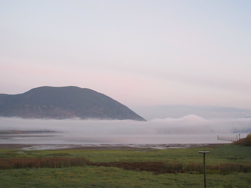 fog mist cloud mountain nature bay shuswap lake salmon arm bc british columbia canada