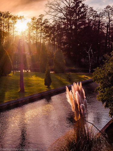 Evening scene in New Venice by Steppenwolf33, forest tree grass newvenice köpenick berlin canal sunset backlight steppenwolf33