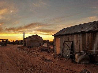 Rural sunset