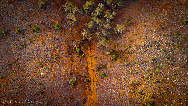 Dry creek and kangaroo paths, South Australia