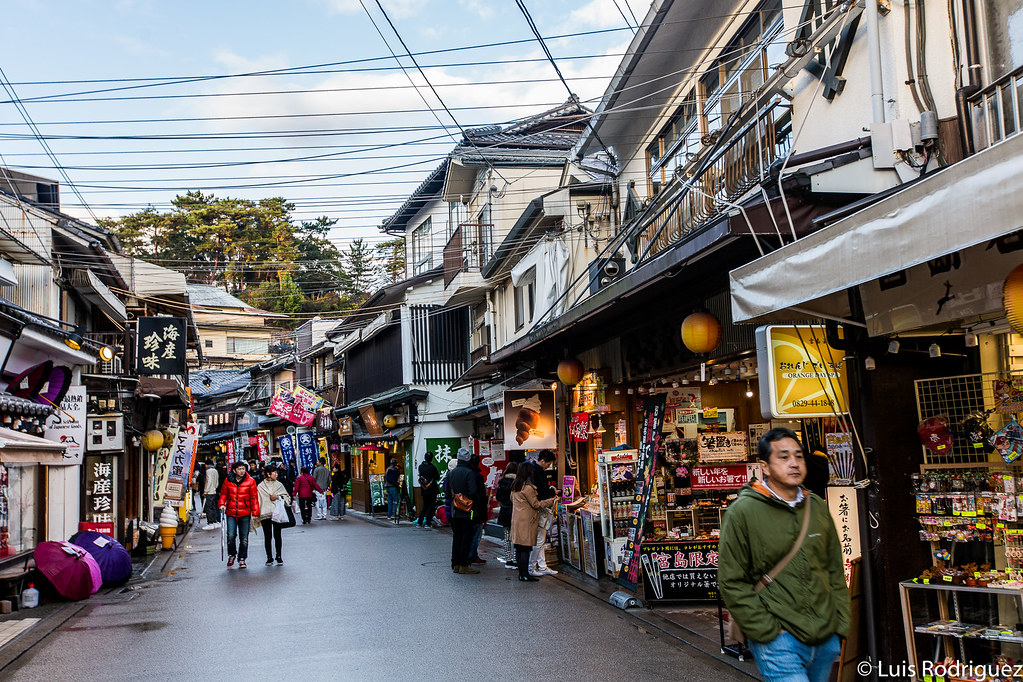 Calle Omotesando, llena de tiendas y restaurantes