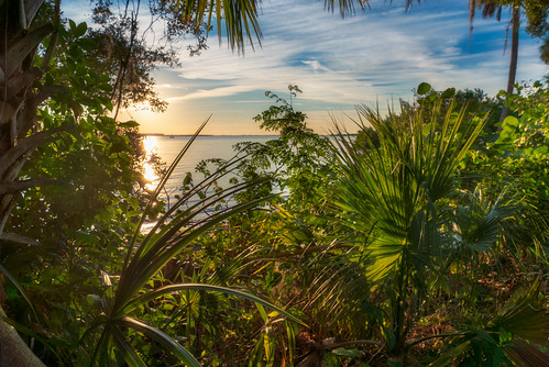 aurorahdr emersonpoint gulfofmexico luminar macphun palmetto sonyalpha clouds florida gulfcoast madewithluminar manateecounty mangroves skylum sonyimages unitedstates locations us