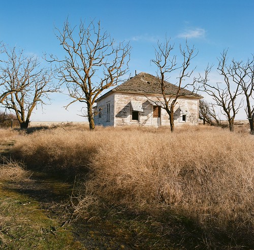 Abandoned farmhouse and trees | by sailronin
