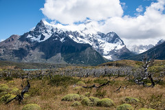 patagonia chile 110