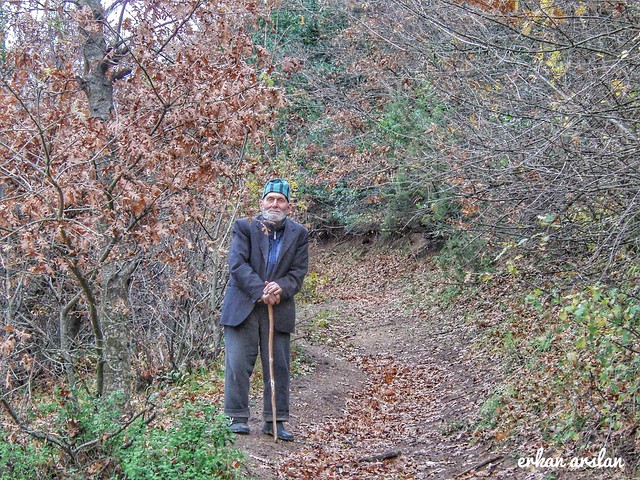 #ılıcaoba #orman #yaşlı #yapraklar #patika #baston #şapka #yukarı #forest #elderly #leaves #footpath #cane #hatup #erkanarslan