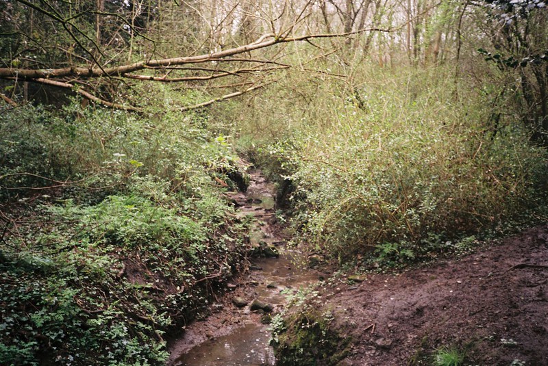 The easternmost point we saw Coombe Brook at ground level