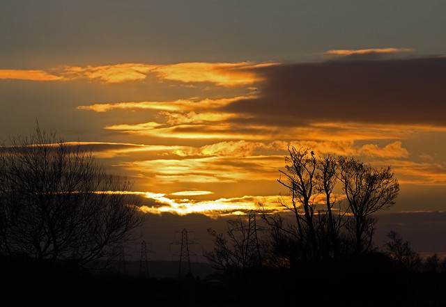 sunrise - Riverside Valley Park, Exeter, Devon - Jan 2019