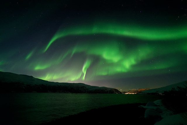 Aurora Kalfjorden