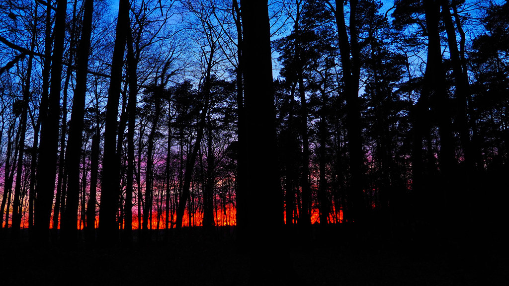 Red Fire Dusk And Blue Sky