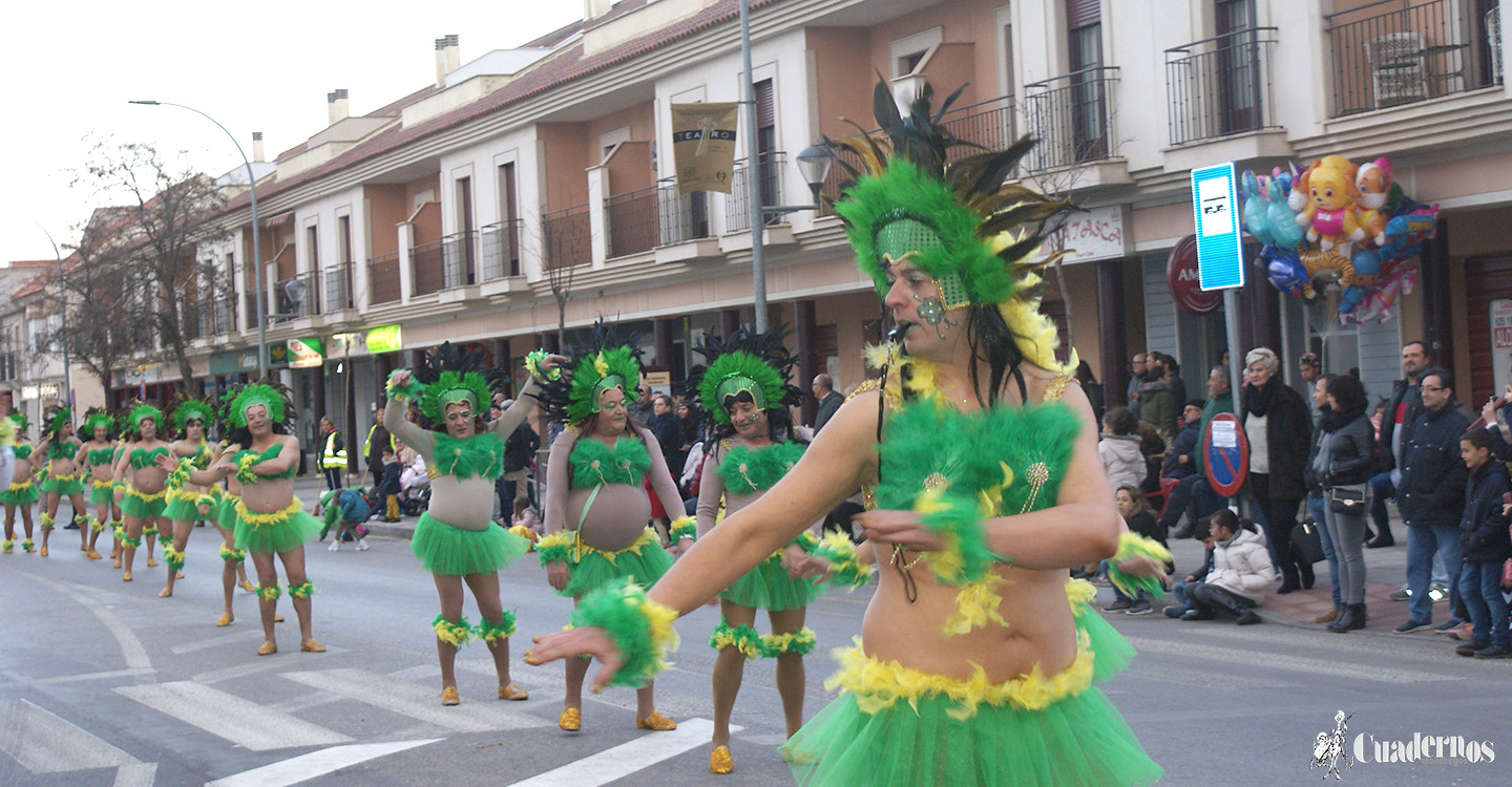 carnaval-tomelloso-desfile-locales-2019 (332)